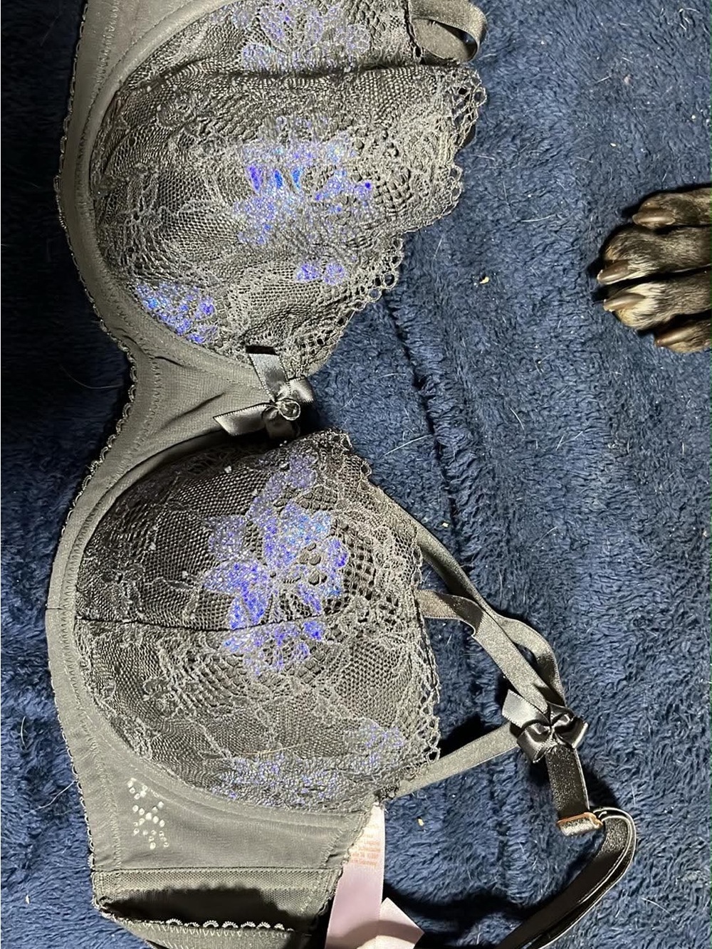 BRA BUNDLE